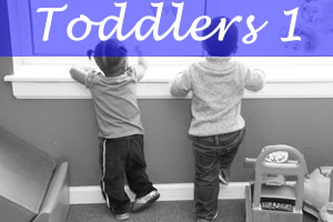 Toddlers 1 link